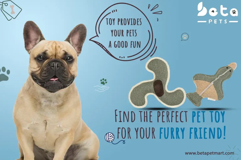 Keeping Furry Friends Happy: A Deep Dive into the Best Pet Toys