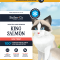 Bailey+Co Salmon Treat Feline